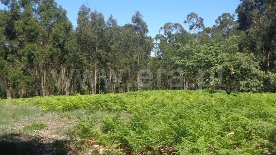 Terreno para Venda em Avessadas e Rosém
