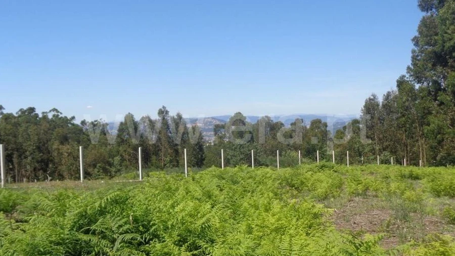 Terreno para Venda em Avessadas e Rosém