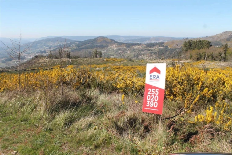 Terreno para Venda em Penhalonga e Paços de Gaiolo Foto 5