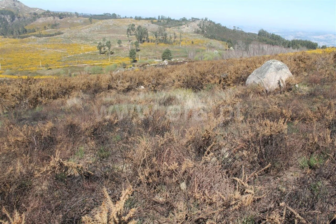 Terreno para Venda em Sande e São Lourenço Foto 2