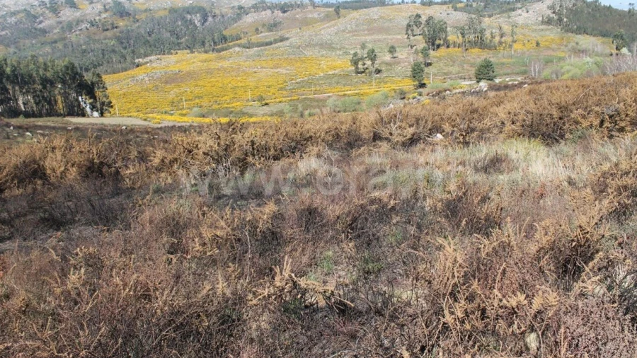 Terreno para Venda em Sande e São Lourenço