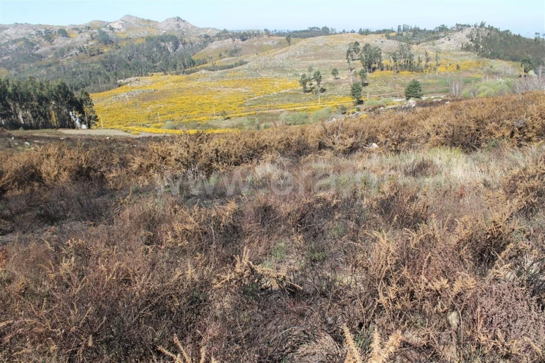 Terreno para Venda em Sande e São Lourenço Foto 1