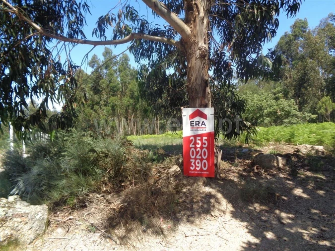 Terreno para Venda em Avessadas e Rosém Foto 2