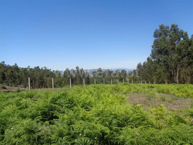 Terreno para Venda em Avessadas e Rosém Foto 1