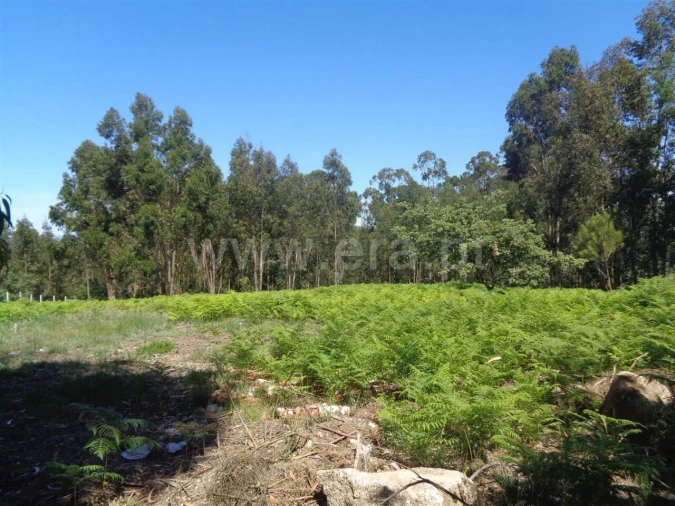Terreno para Venda em Avessadas e Rosém Foto 4