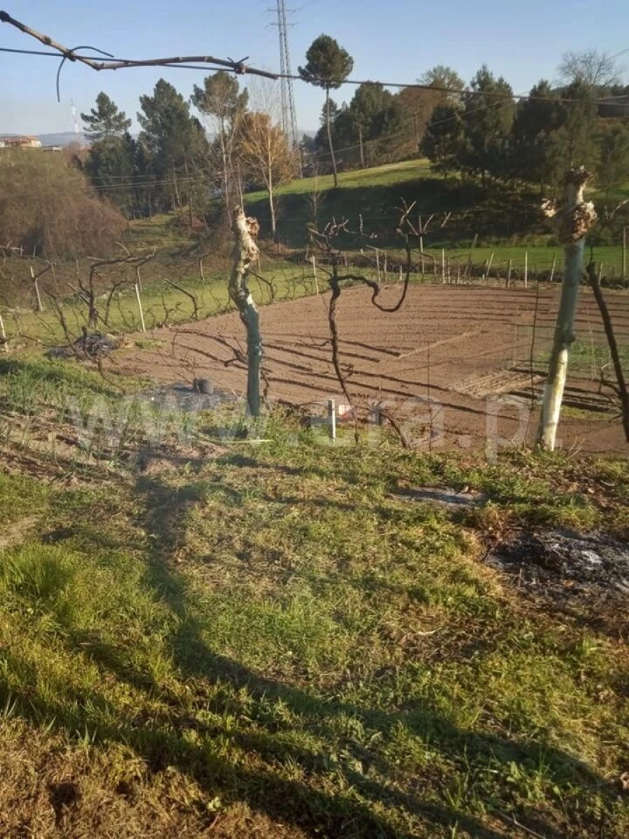 Moradia T1 para Venda em Constance Foto 5