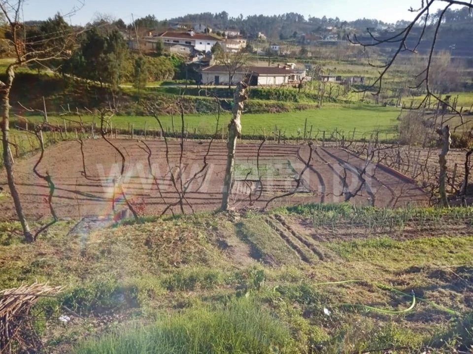 Moradia T1 para Venda em Constance Foto 3