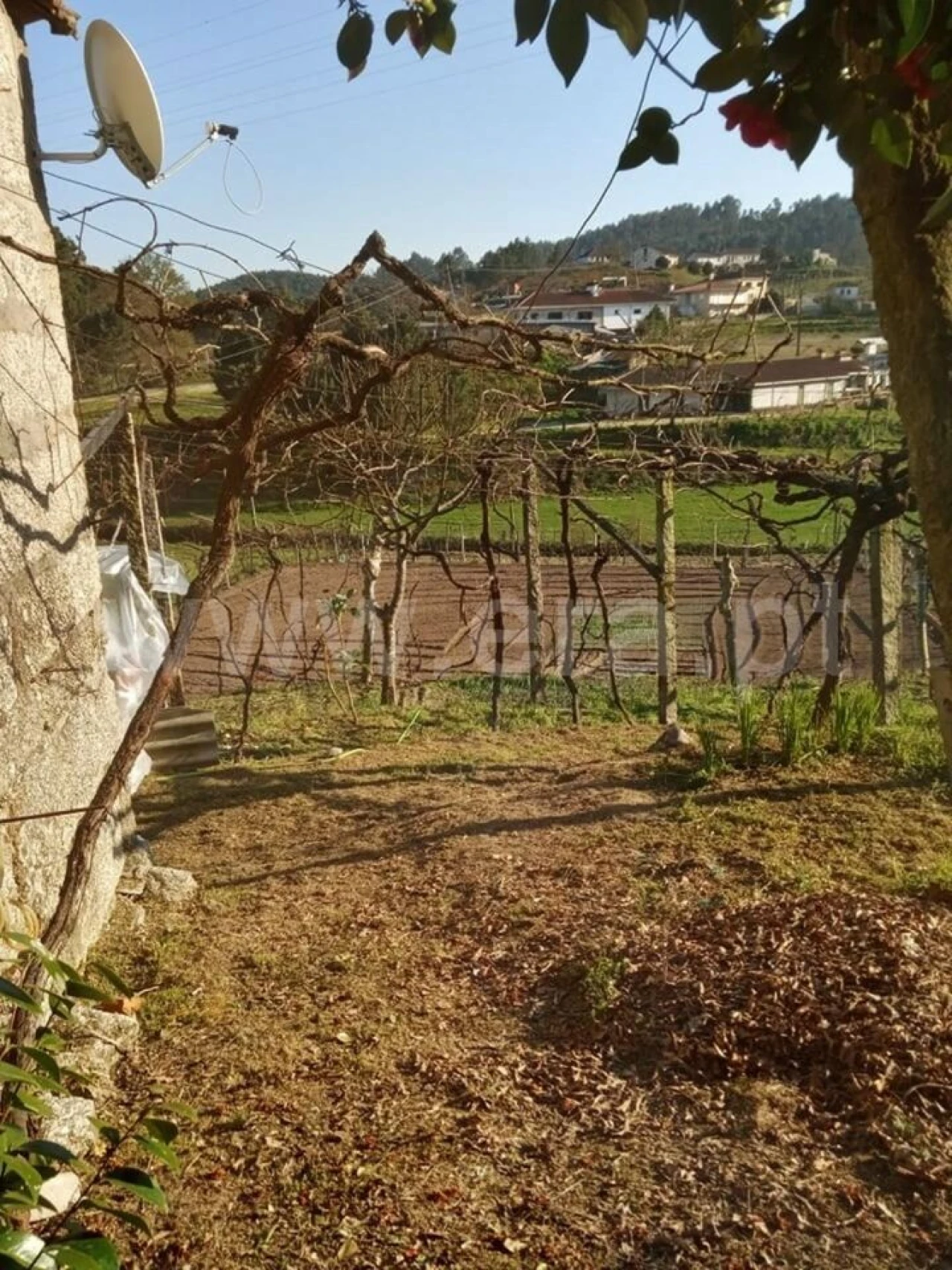 Moradia T1 para Venda em Constance Foto 4