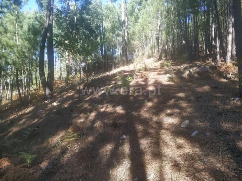 Terreno para Venda em Marco Foto 5