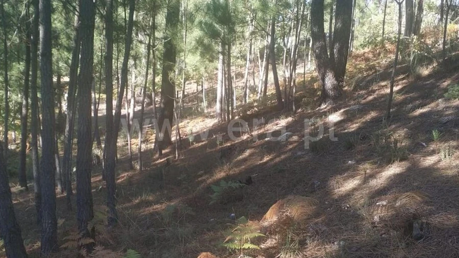 Terreno para Venda em Marco