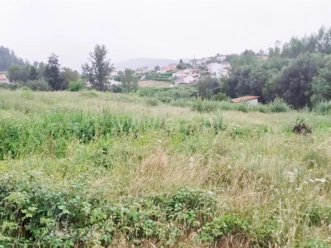Terreno para Venda em Travanca Foto 4