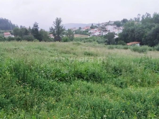Terreno para Venda em Travanca Foto 5