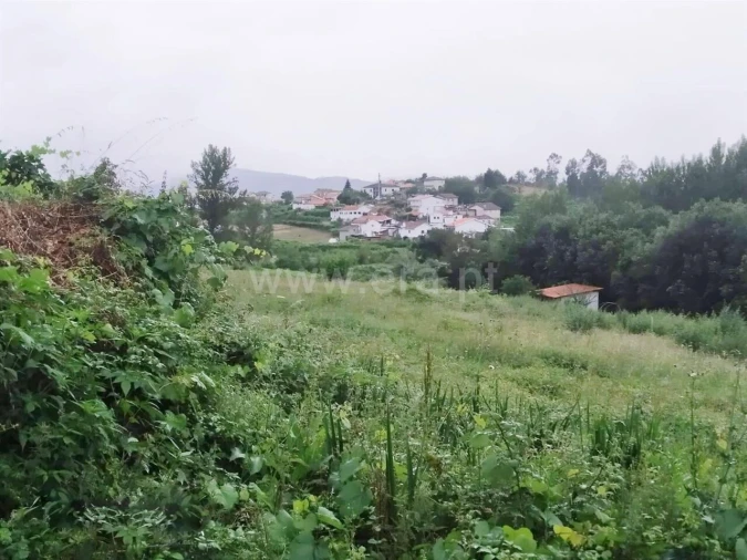 Terreno para Venda em Travanca Foto 6