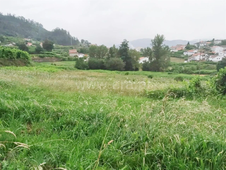 Terreno para Venda em Travanca Foto 3