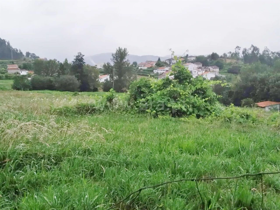 Terreno para Venda em Travanca Foto 1