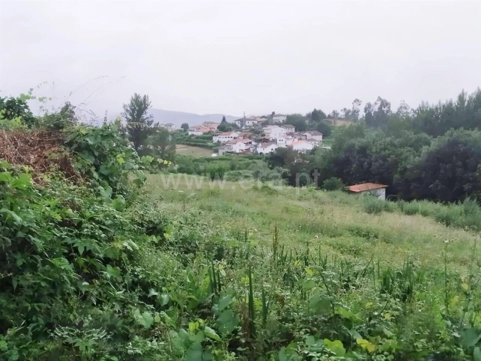 Terreno para Venda em Travanca Foto 6