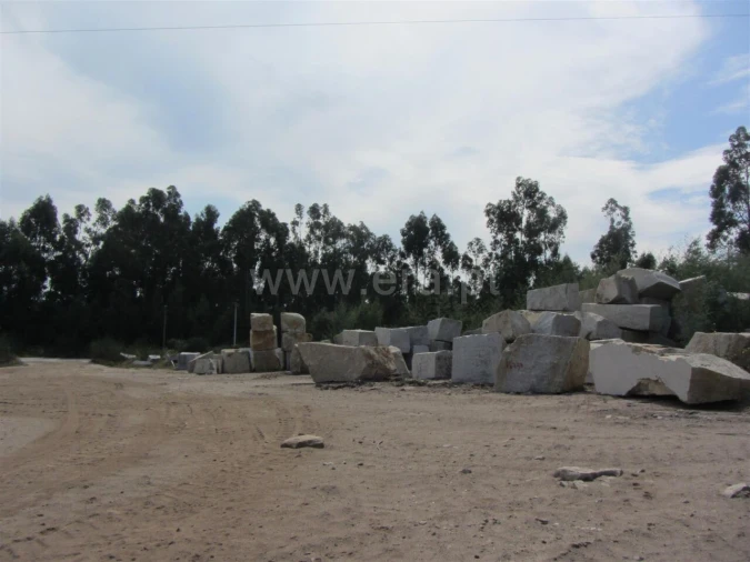 Terreno para Venda em Alpendorada, Várzea e Torrão Foto 3