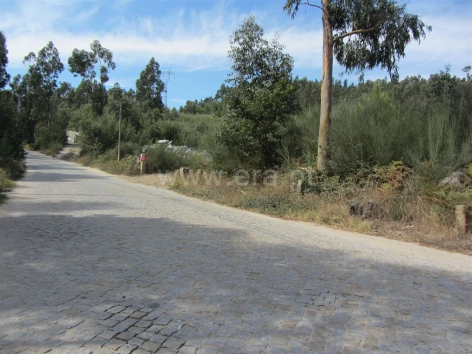 Terreno para Venda em Alpendorada, Várzea e Torrão Foto 4