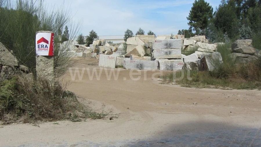 Terreno para Venda em Alpendorada, Várzea e Torrão