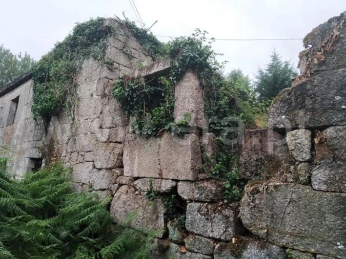 Moradia T1 para Venda em Travanca Foto 1