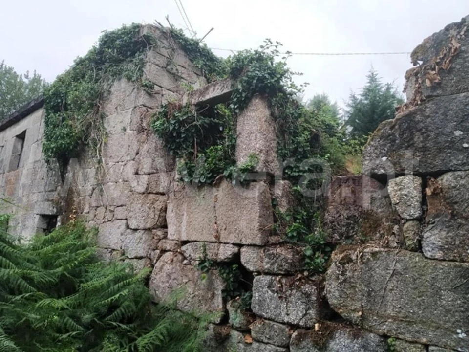 Moradia T1 para Venda em Travanca Foto 1