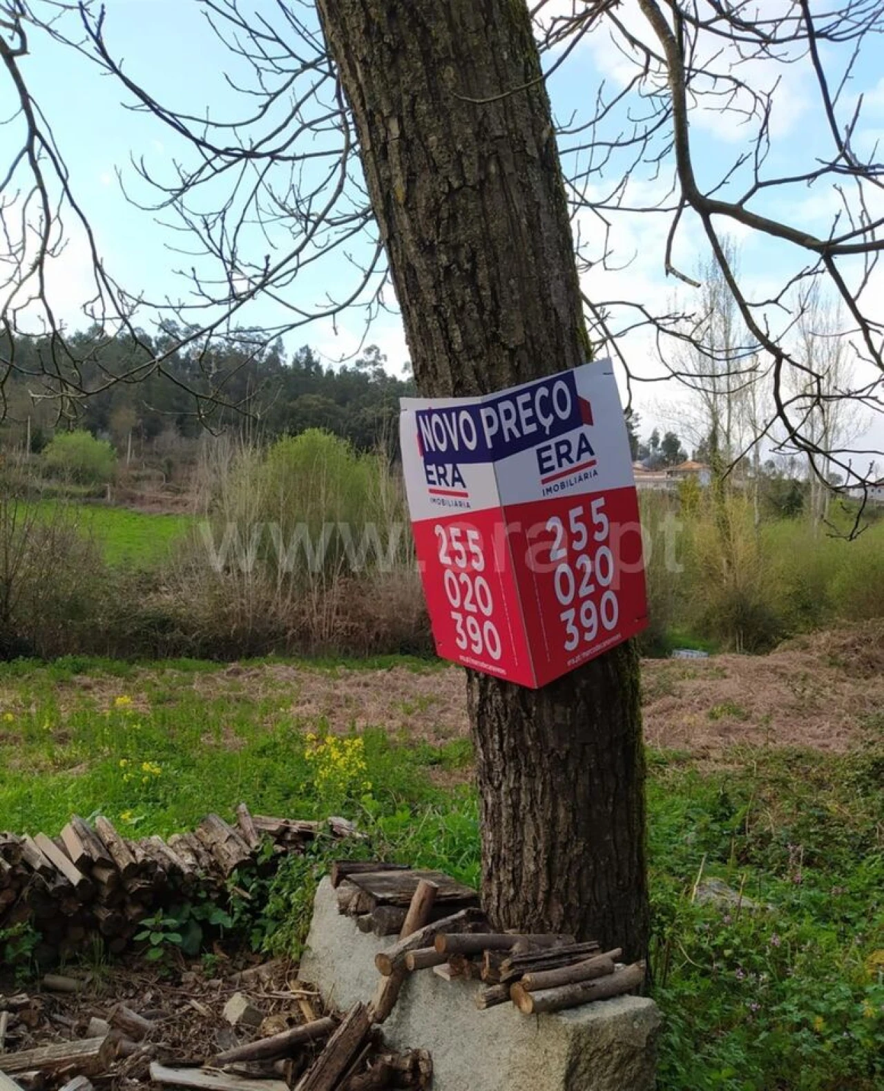 Moradia T1 para Venda em Travanca Foto 3