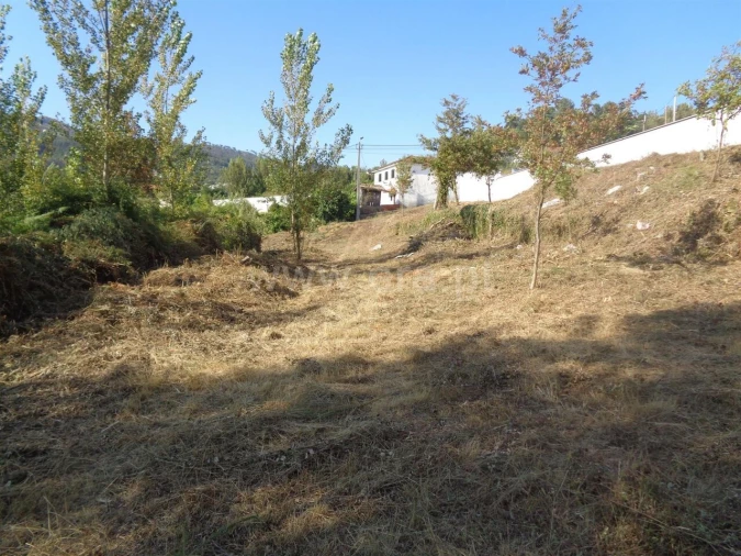 Terreno para Venda em Sande e São Lourenço Foto 2