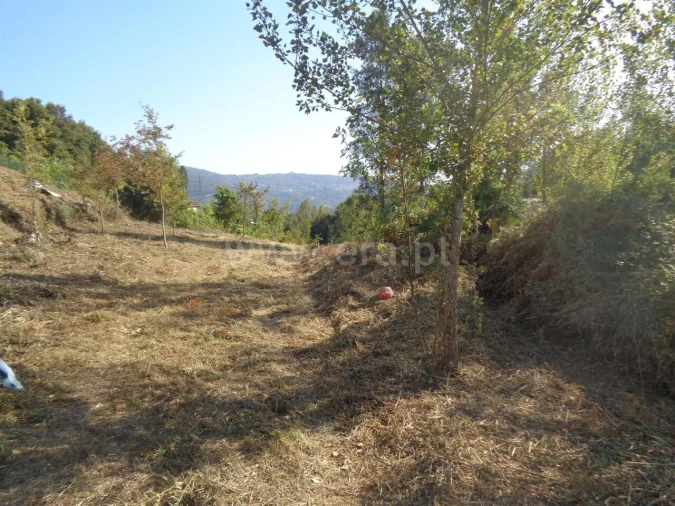 Terreno para Venda em Sande e São Lourenço Foto 6