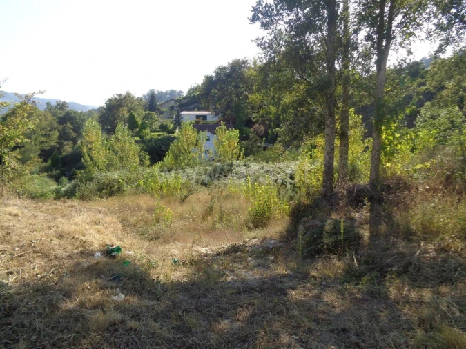 Terreno para Venda em Sande e São Lourenço Foto 3