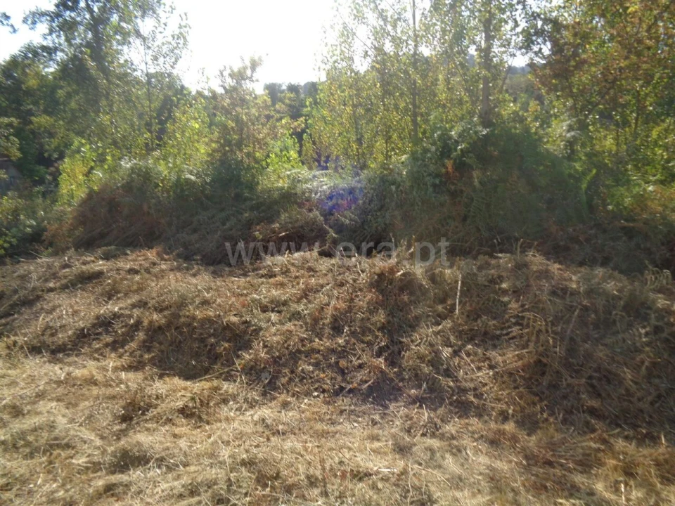Terreno para Venda em Sande e São Lourenço Foto 5