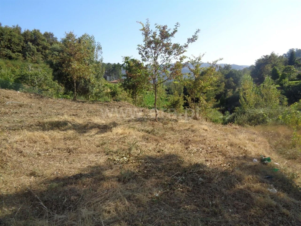 Terreno para Venda em Sande e São Lourenço Foto 4