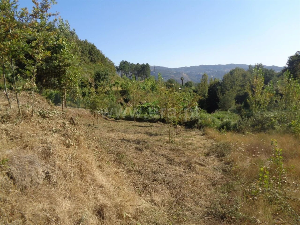 Terreno para Venda em Sande e São Lourenço Foto 1