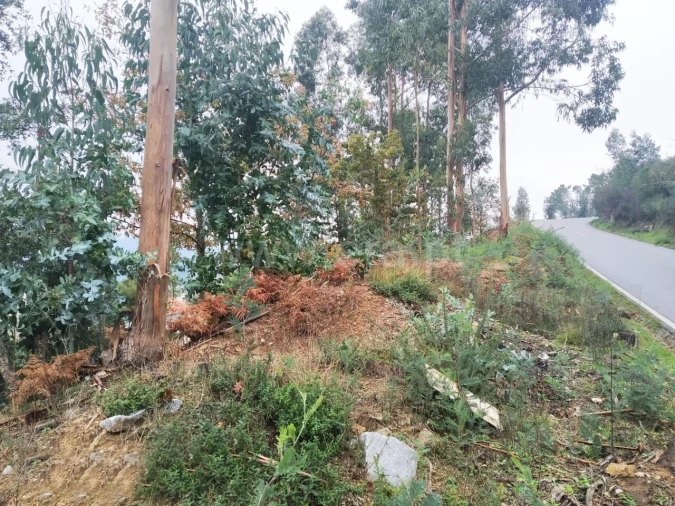 Terreno para Venda em Travanca Foto 4