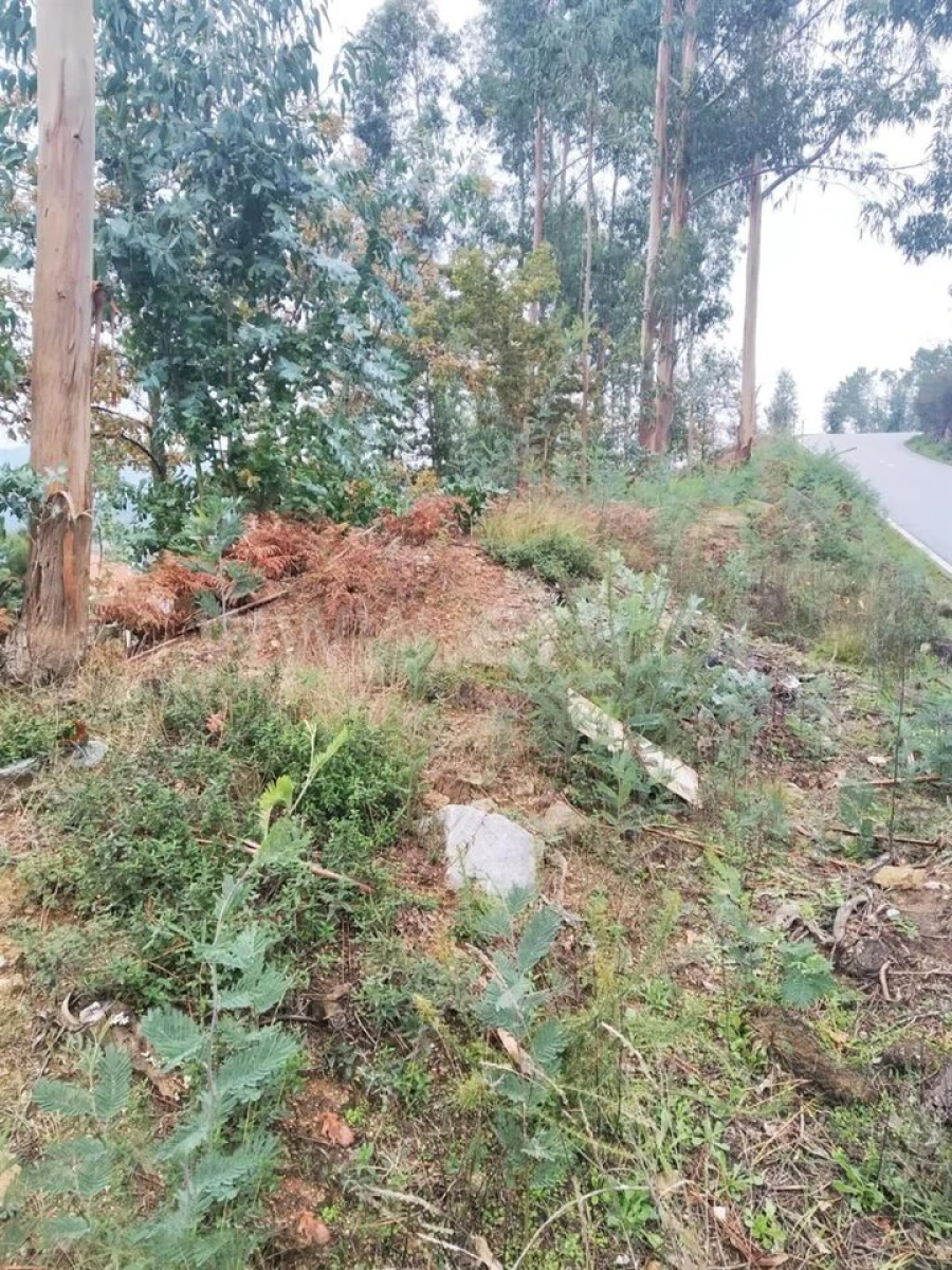 Terreno para Venda em Travanca Foto 9