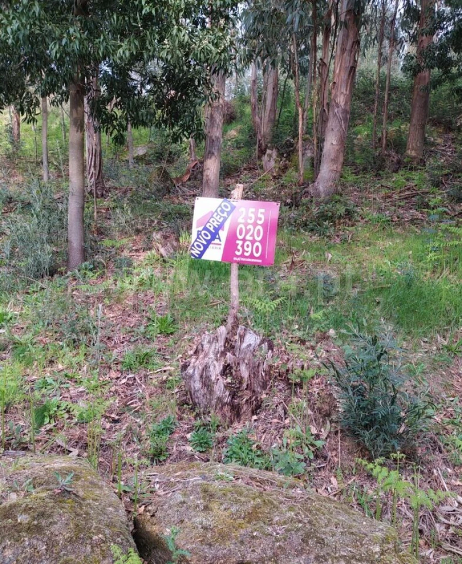 Terreno para Venda em Travanca Foto 10