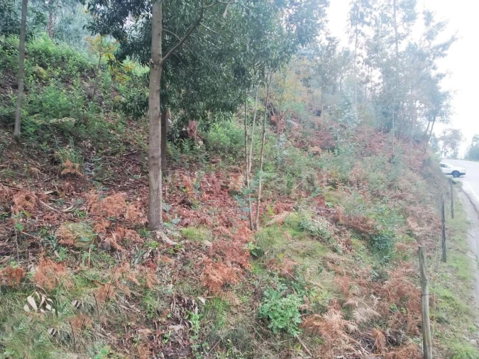 Terreno para Venda em Travanca Foto 6