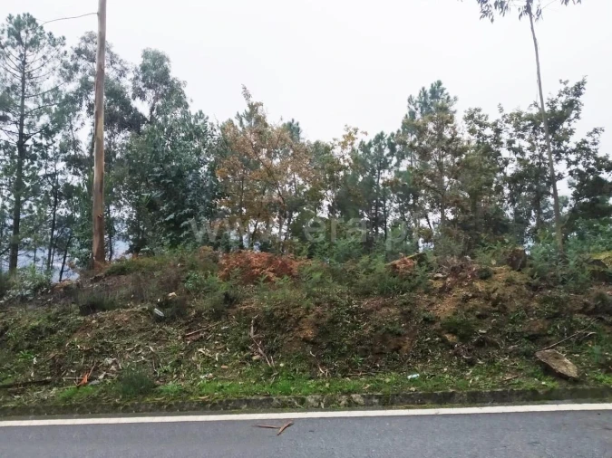 Terreno para Venda em Travanca Foto 7