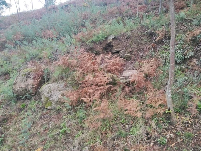 Terreno para Venda em Travanca Foto 3
