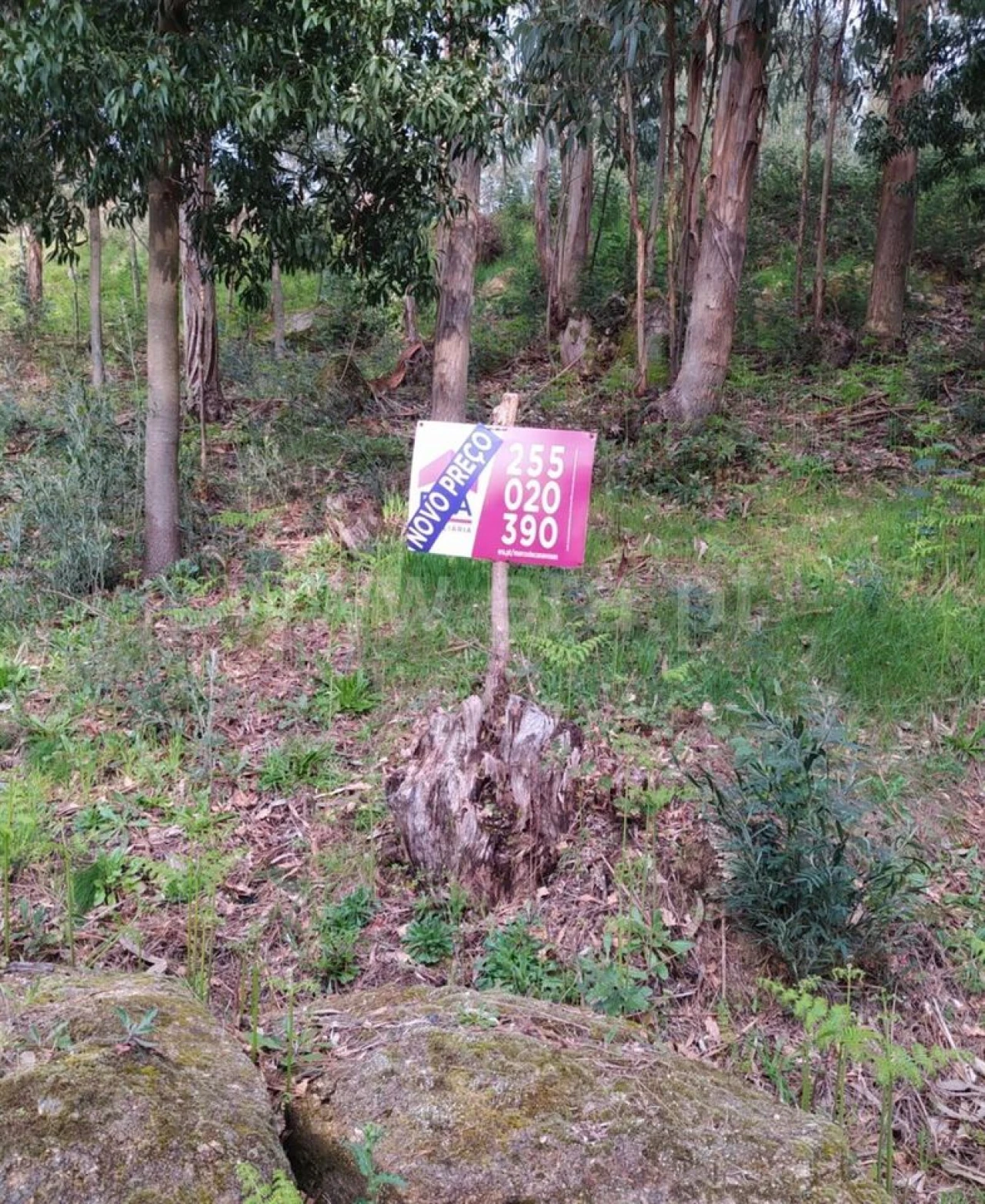 Terreno para Venda em Travanca Foto 10