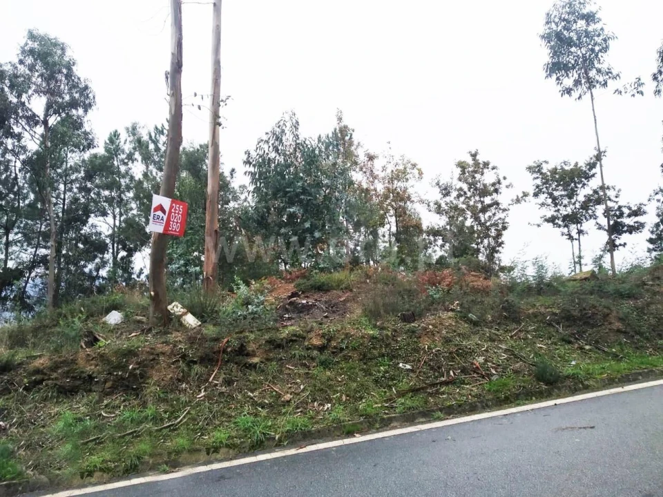 Terreno para Venda em Travanca Foto 1