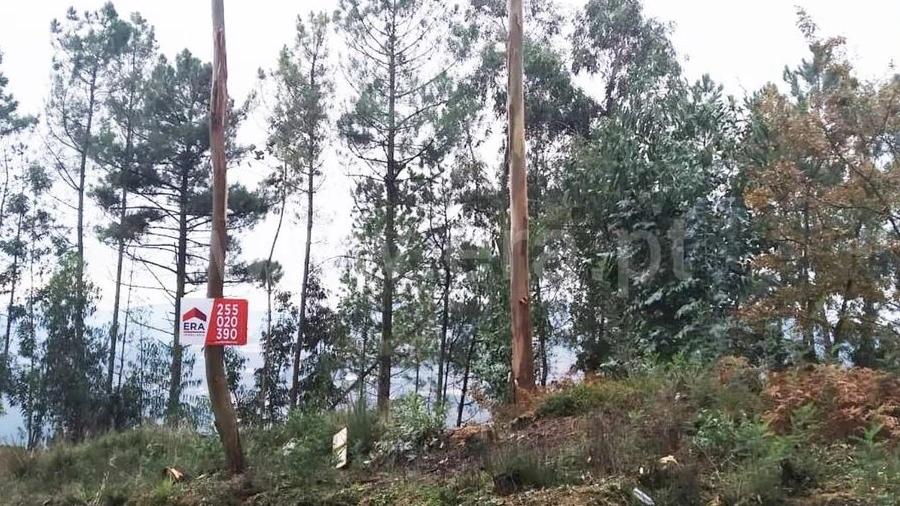 Terreno para Venda em Travanca