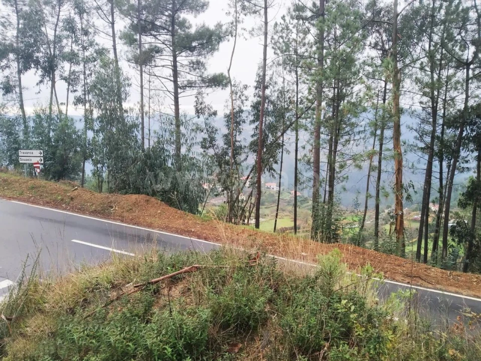 Terreno para Venda em Travanca Foto 8