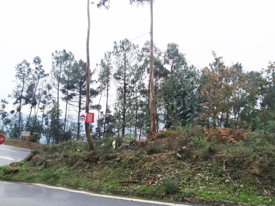 Terreno para Venda em Travanca Foto 5