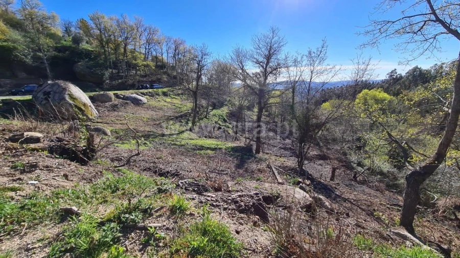 Terreno para Venda em Soalhães Foto 5