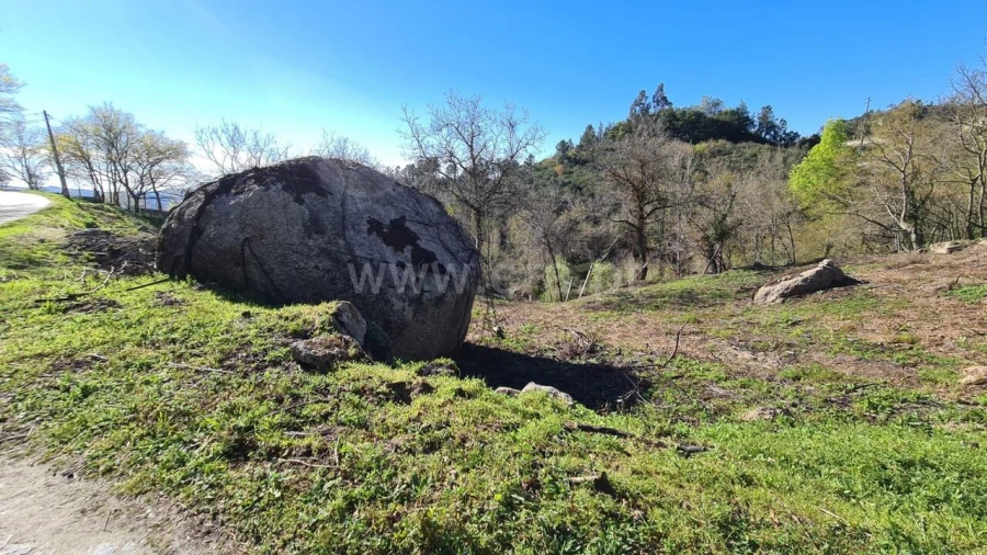 Terreno para Venda em Soalhães Foto 2