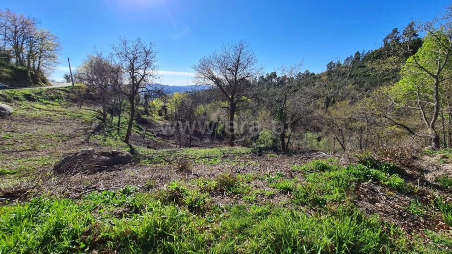 Terreno para Venda em Soalhães Foto 3