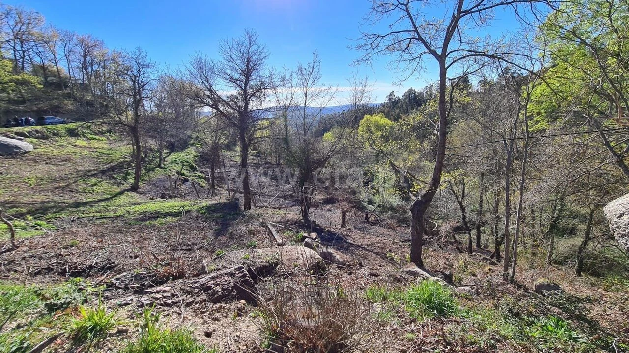 Terreno para Venda em Soalhães Foto 4