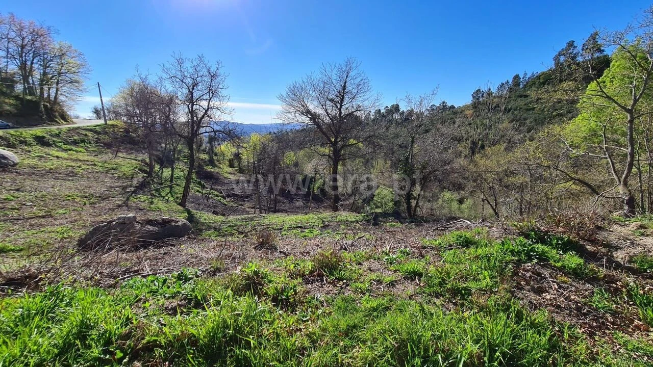 Terreno para Venda em Soalhães Foto 3