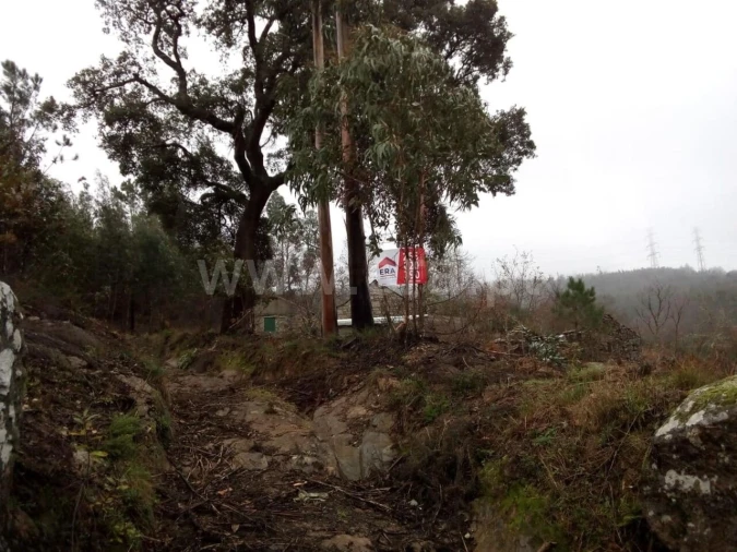 Terreno para Venda em Travanca Foto 2