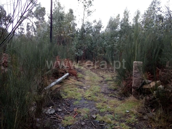 Terreno para Venda em Travanca Foto 1